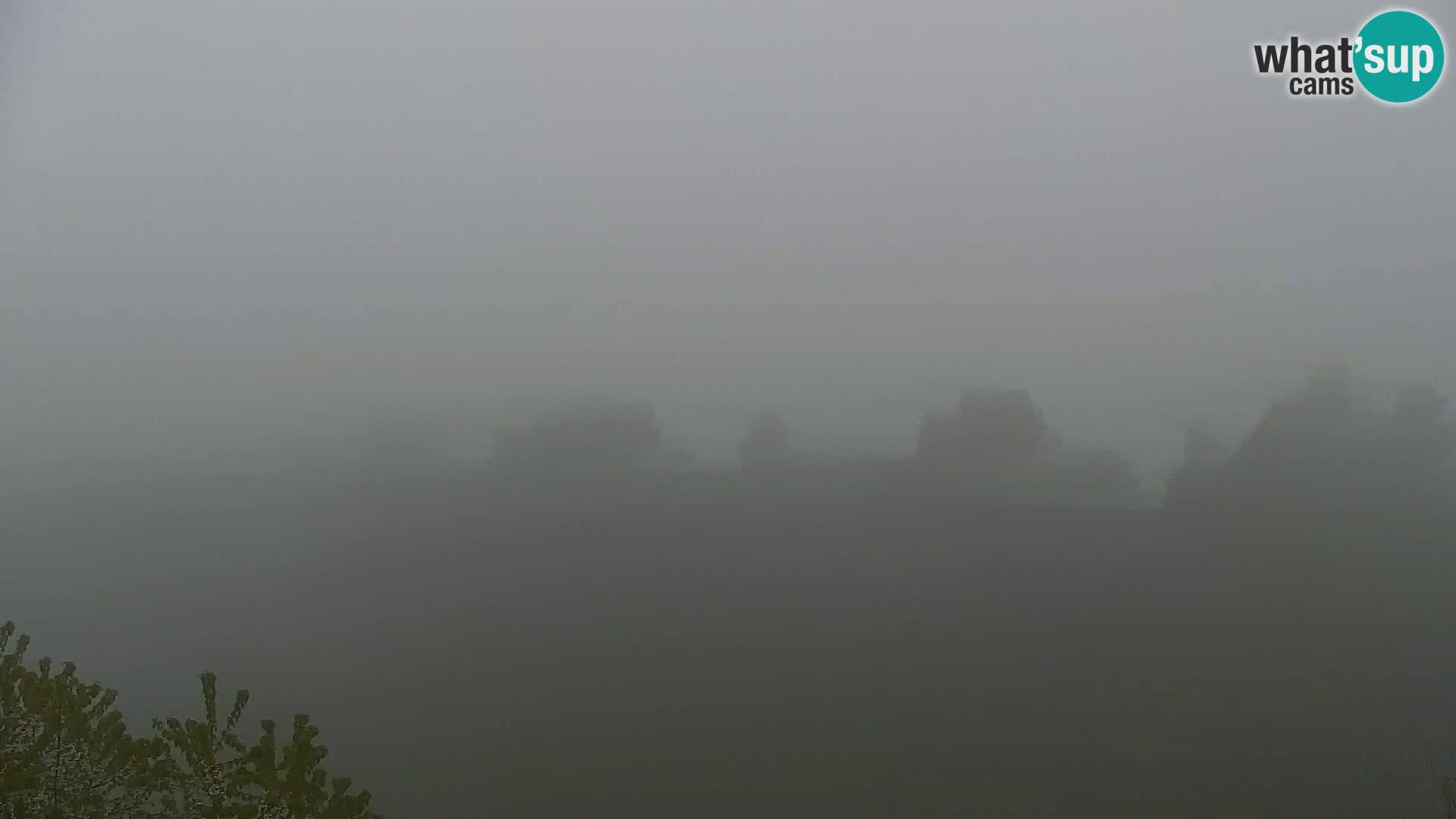 Webcam Kapunar – Radlje ob Dravi