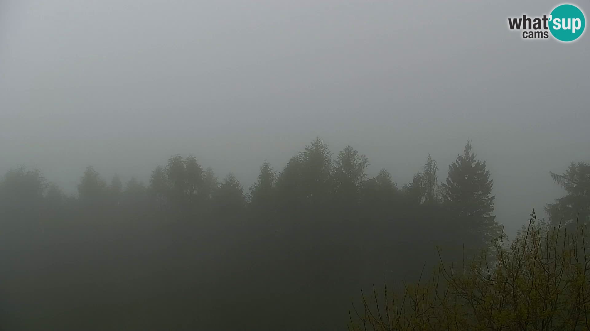 Kapunar Webcam – Radlje ob Dravi
