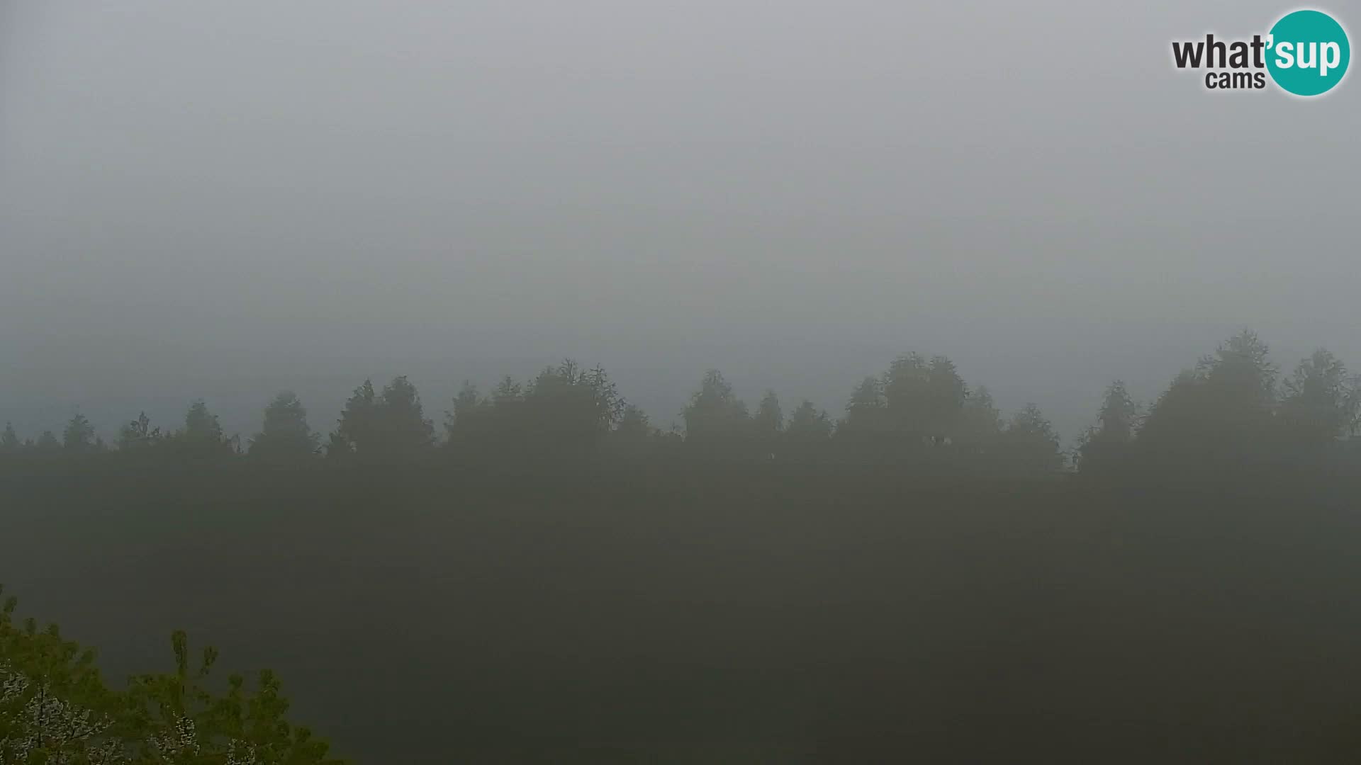 Kapunar Webcam – Radlje ob Dravi