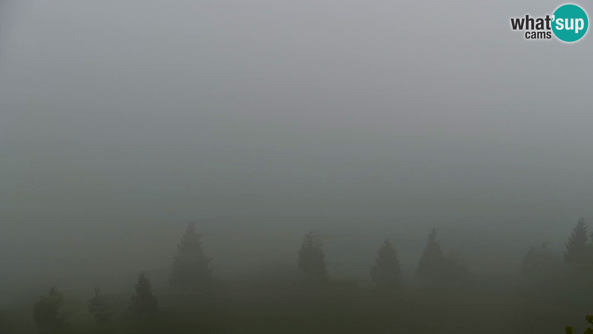 Spletna kamera Kapunar – Radlje ob Dravi