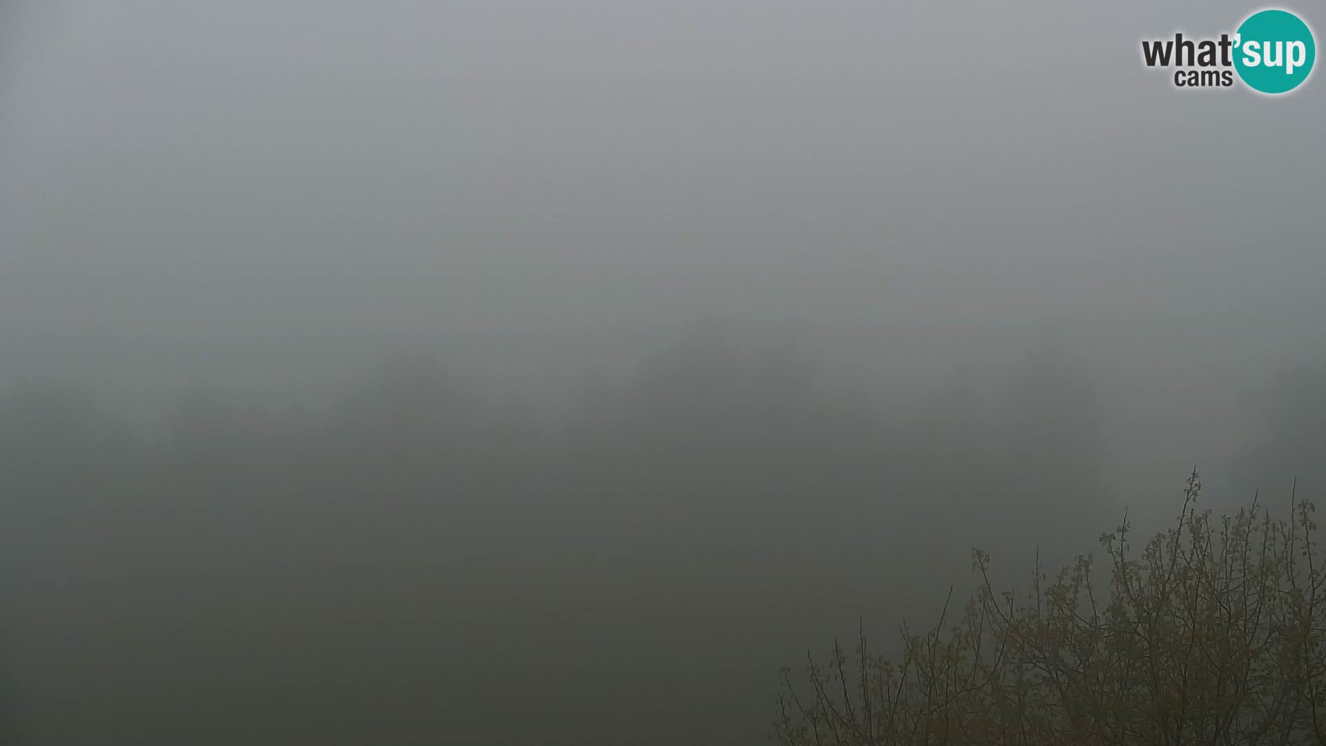 Kapunar Web kamera – Radlje ob Dravi
