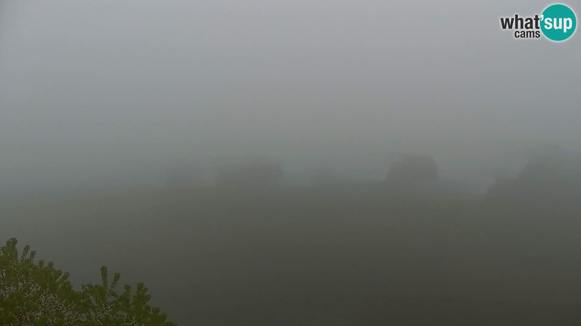 Webcam Kapunar – Radlje ob Dravi