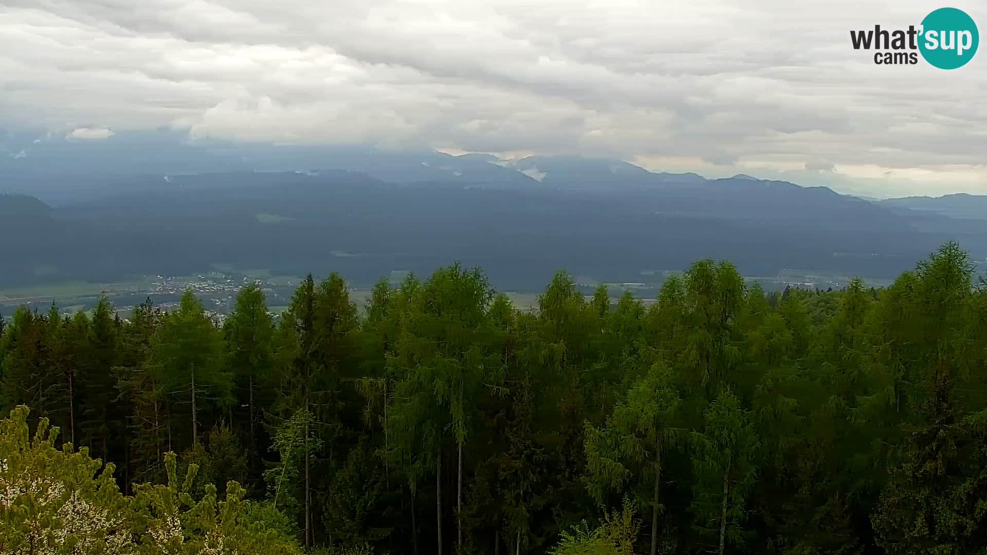 Live cam Kapunar – Radlje ob Dravi