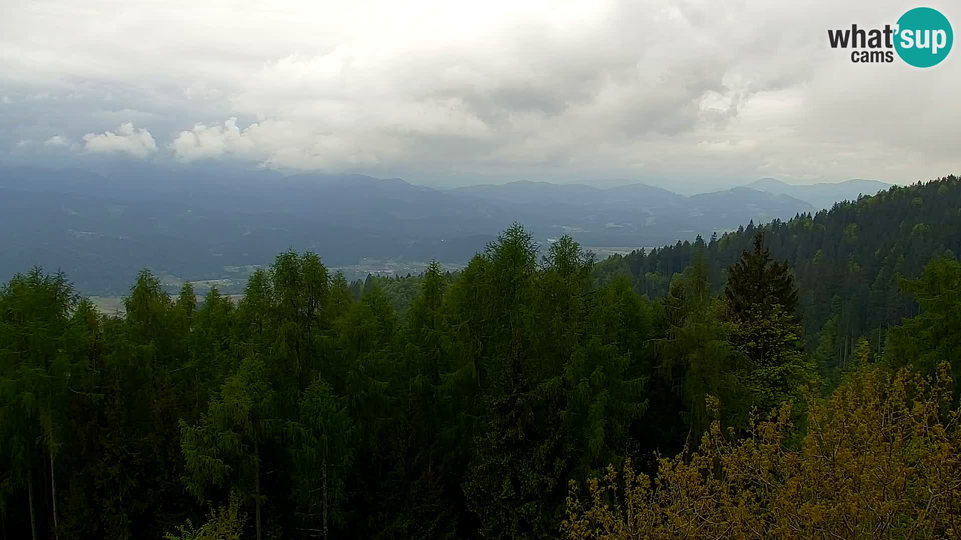 Kapunar Webcam – Radlje ob Dravi