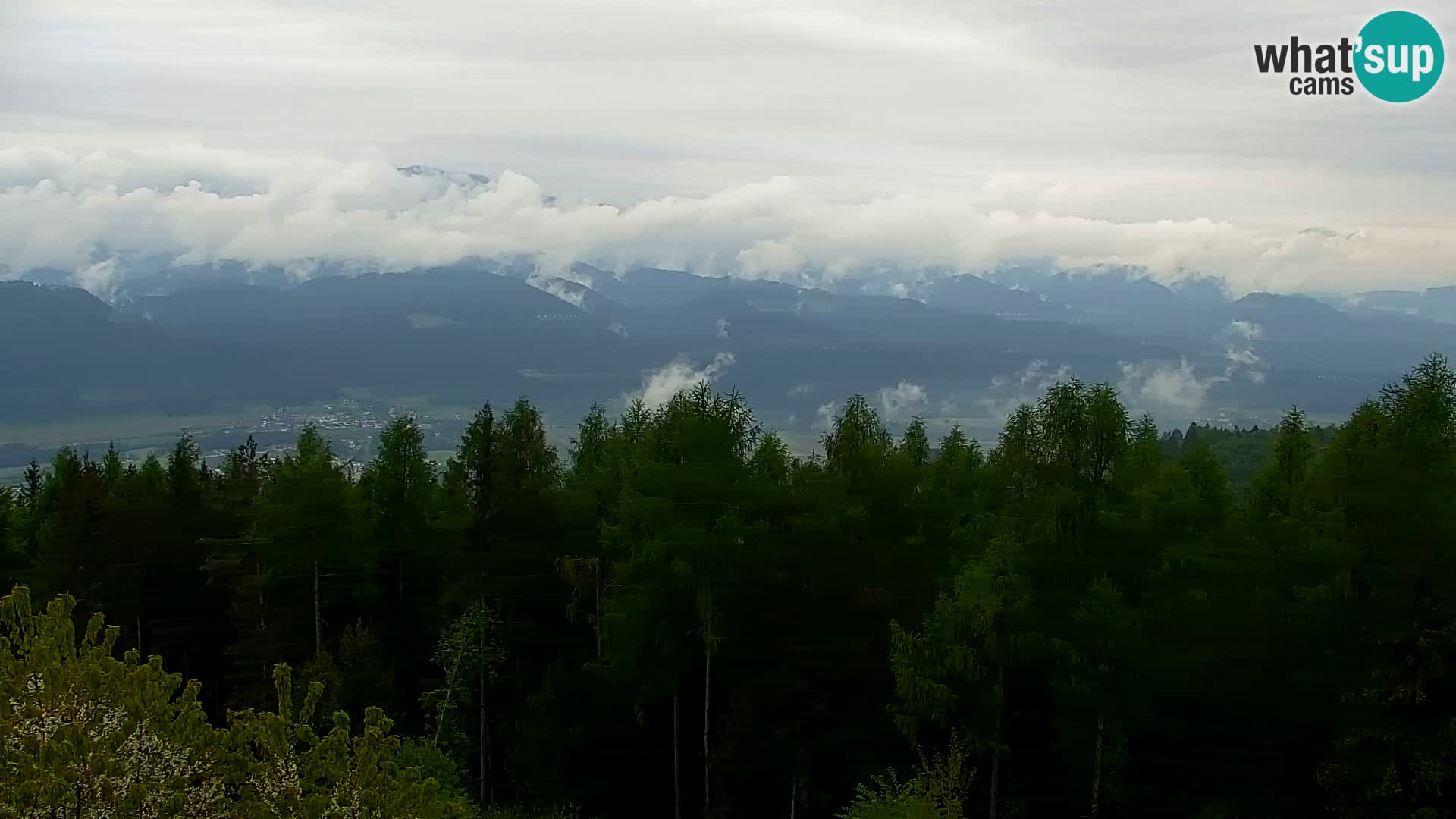 Live cam Kapunar – Radlje ob Dravi
