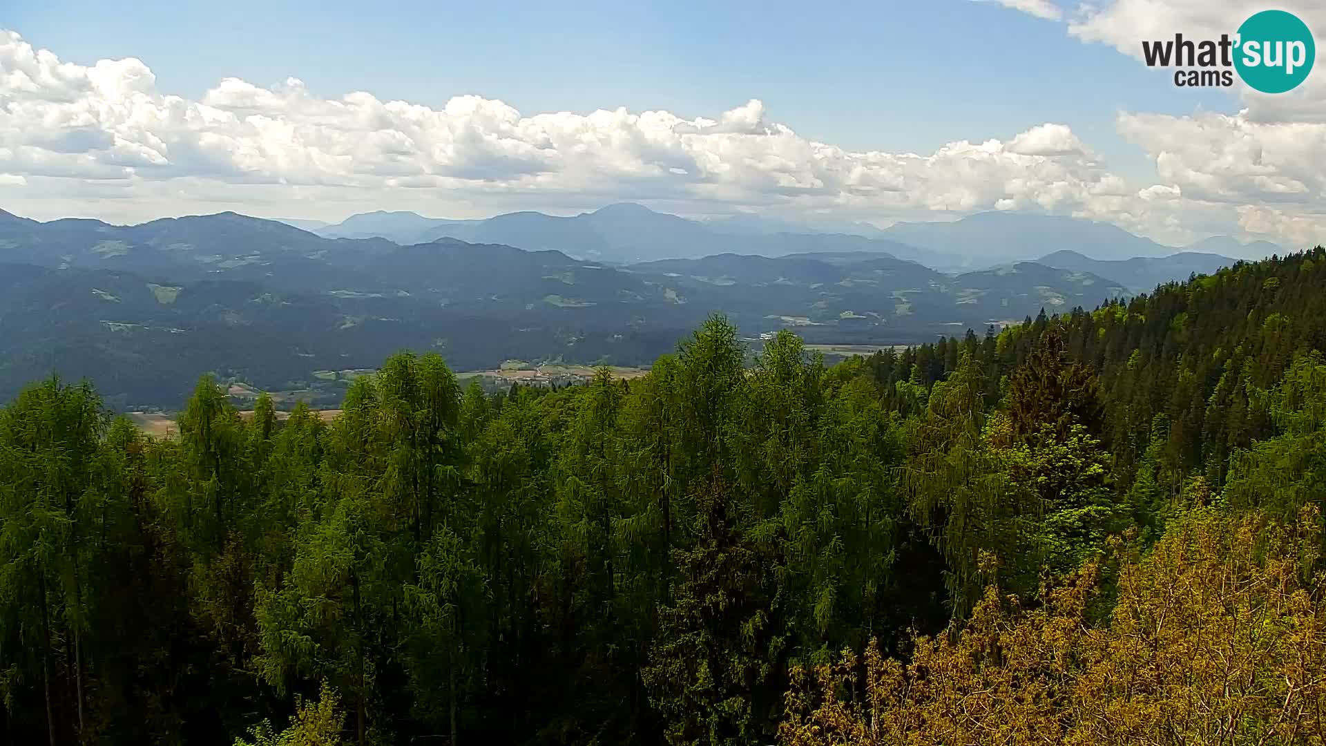 Kapunar Webcam – Radlje ob Dravi