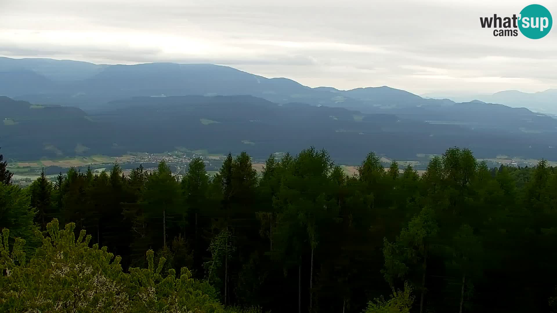 Live cam Kapunar – Radlje ob Dravi