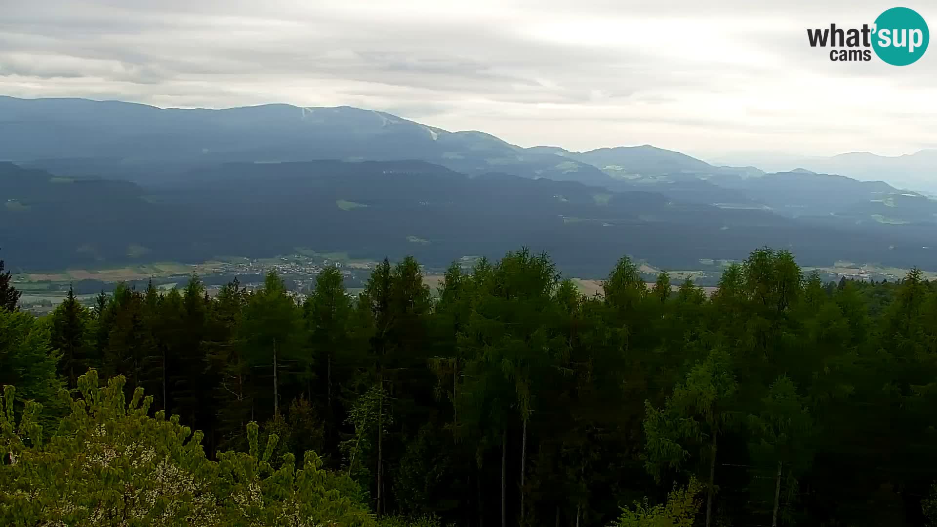 Spletna kamera Kapunar – Radlje ob Dravi