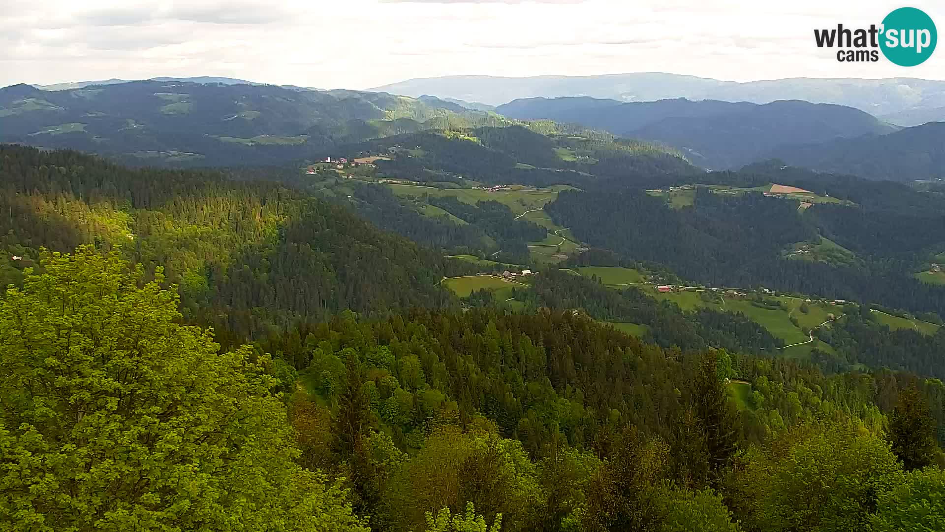 Live cam Kapunar – Radlje ob Dravi