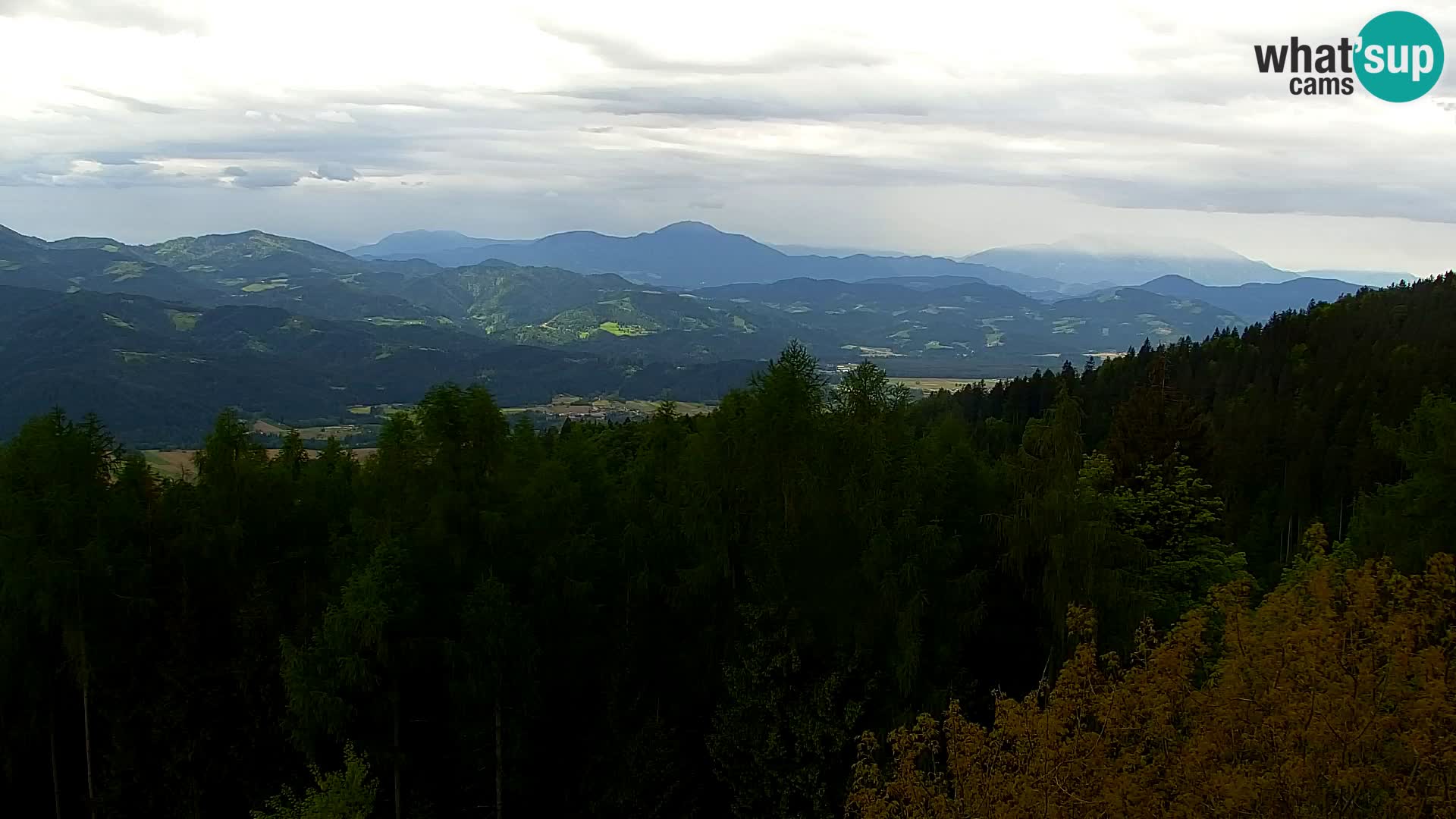 Spletna kamera Kapunar – Radlje ob Dravi