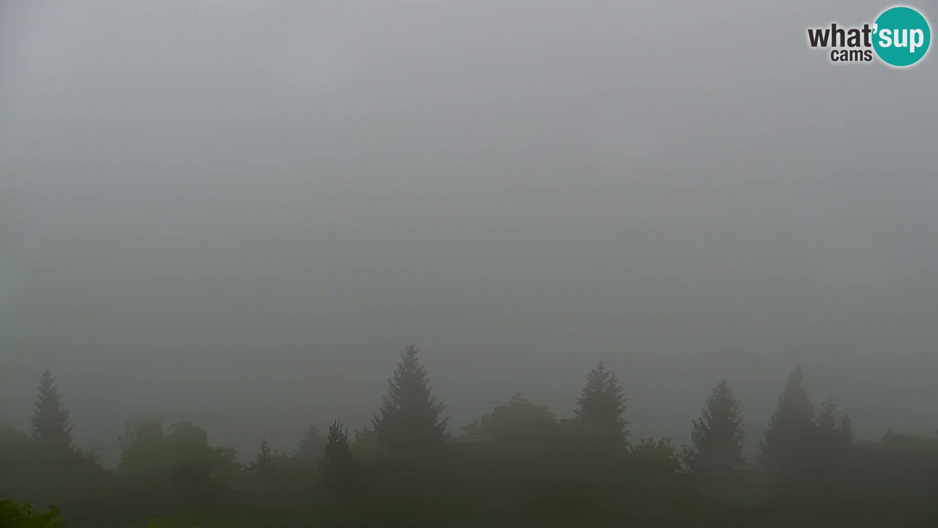 Webcam Kapunar – Radlje ob Dravi