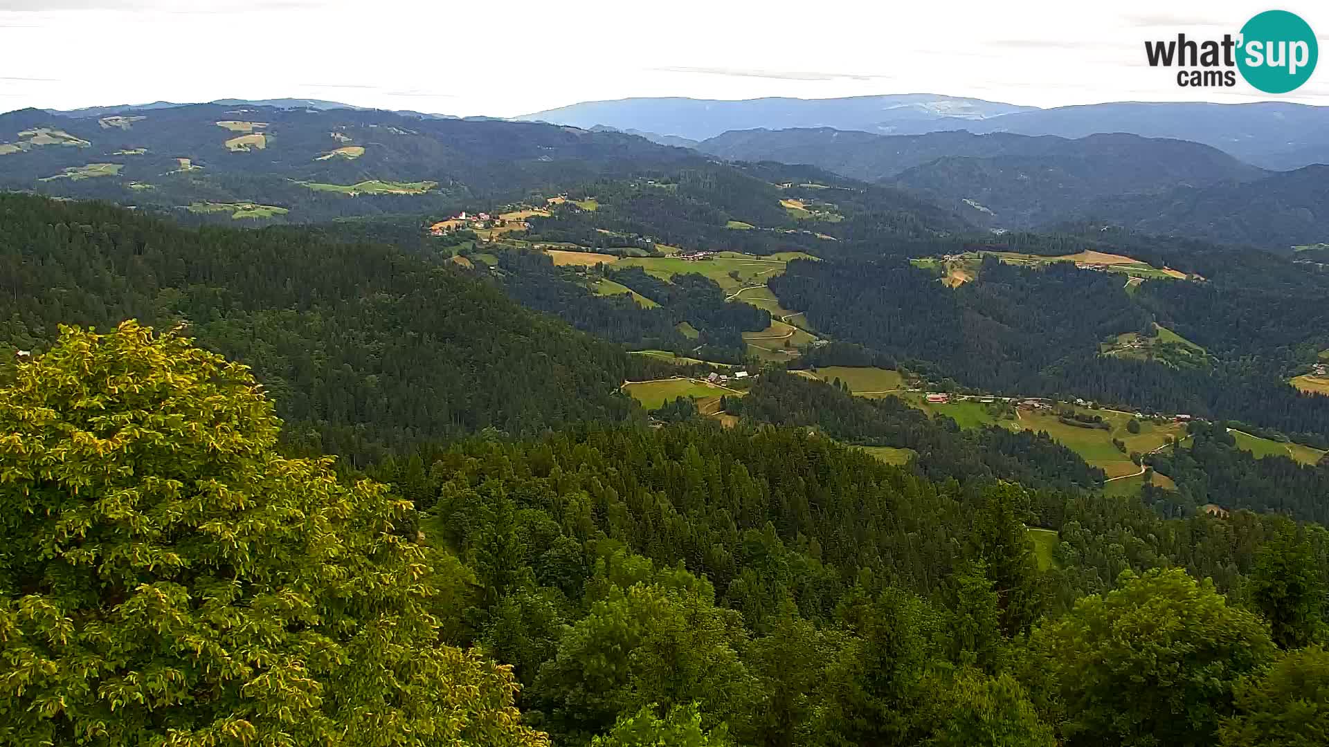 Kapunar Webcam – Radlje ob Dravi