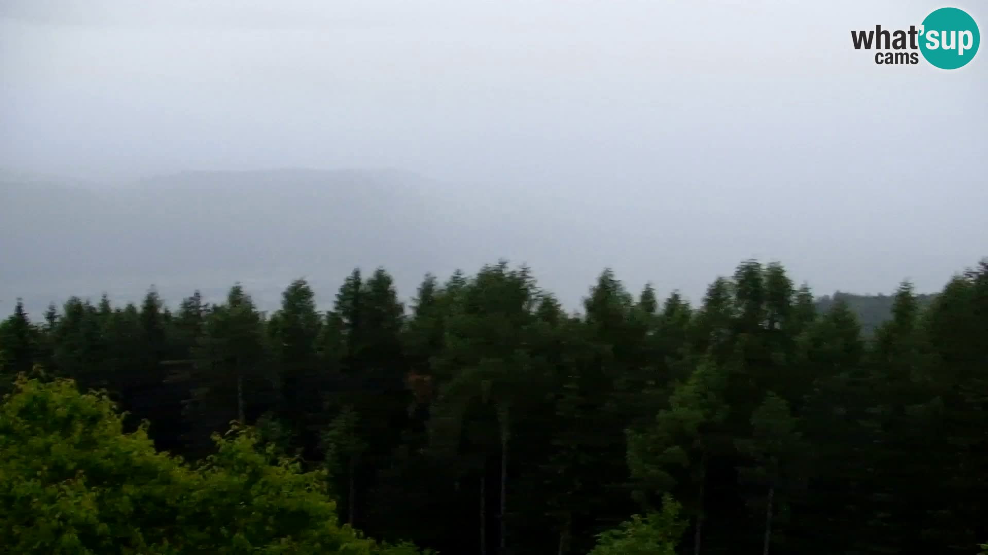 Webcam Kapunar – Radlje ob Dravi