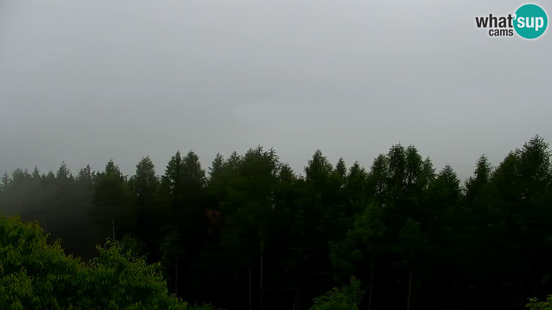 Live cam Kapunar – Radlje ob Dravi