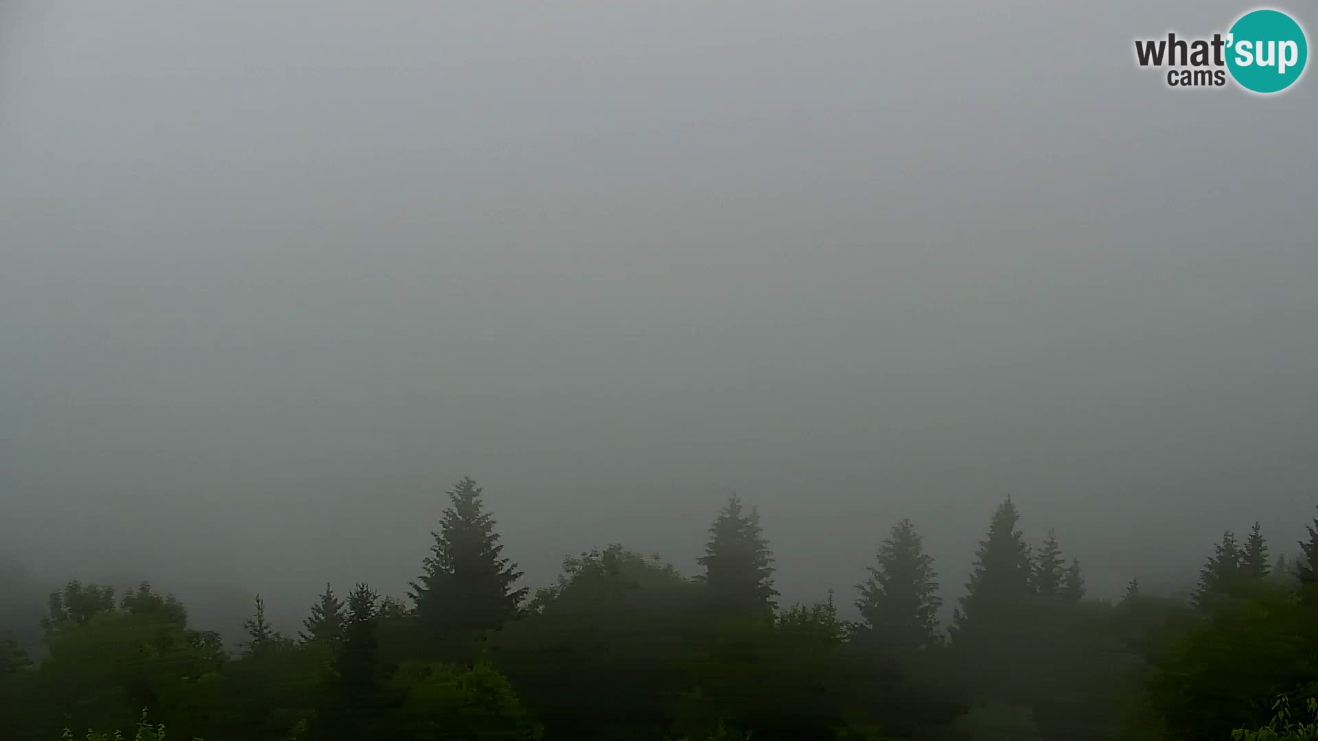 Kapunar Webcam – Radlje ob Dravi