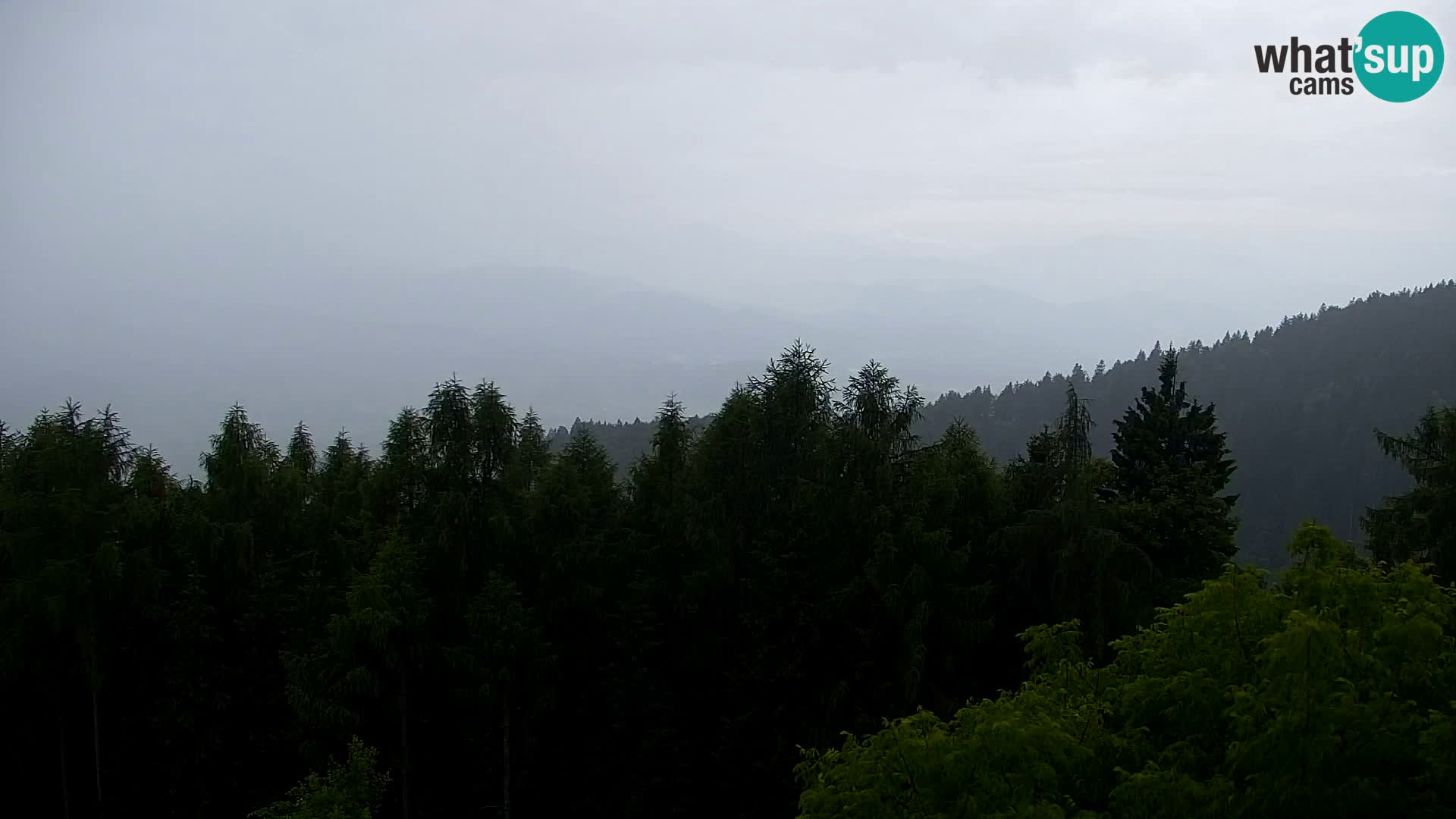 Kapunar Webcam – Radlje ob Dravi