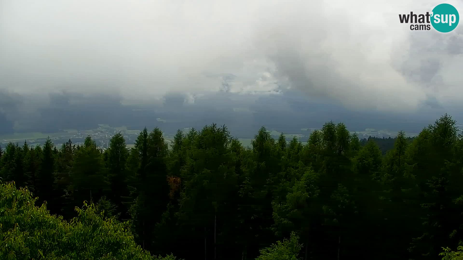 Webcam Kapunar – Radlje ob Dravi