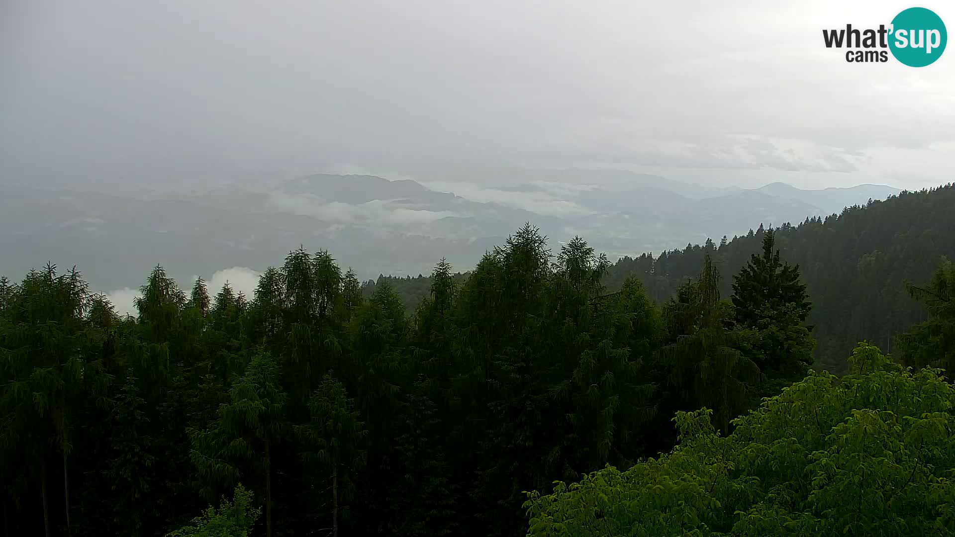 Live cam Kapunar – Radlje ob Dravi