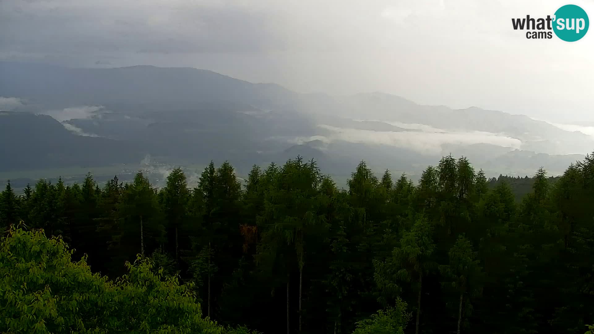 Kapunar Webcam – Radlje ob Dravi