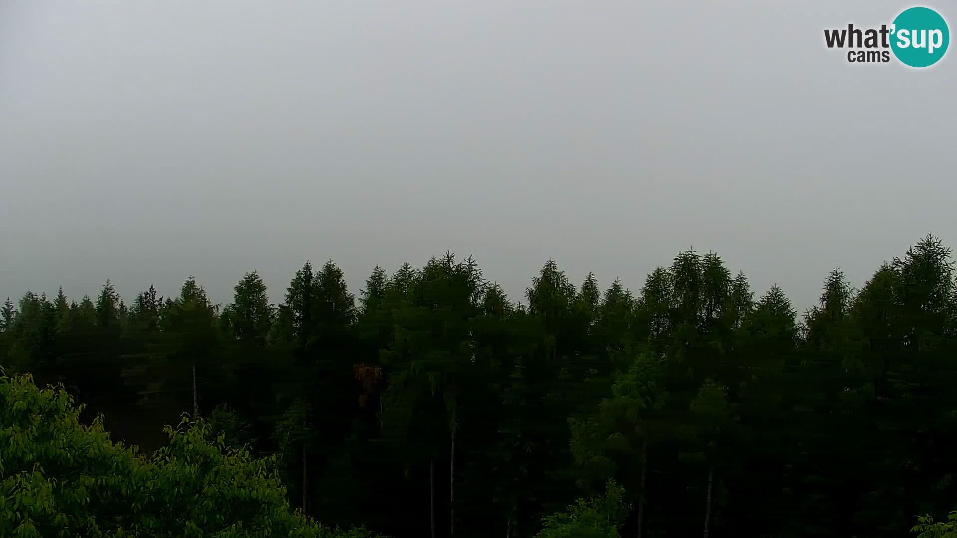 Live cam Kapunar – Radlje ob Dravi