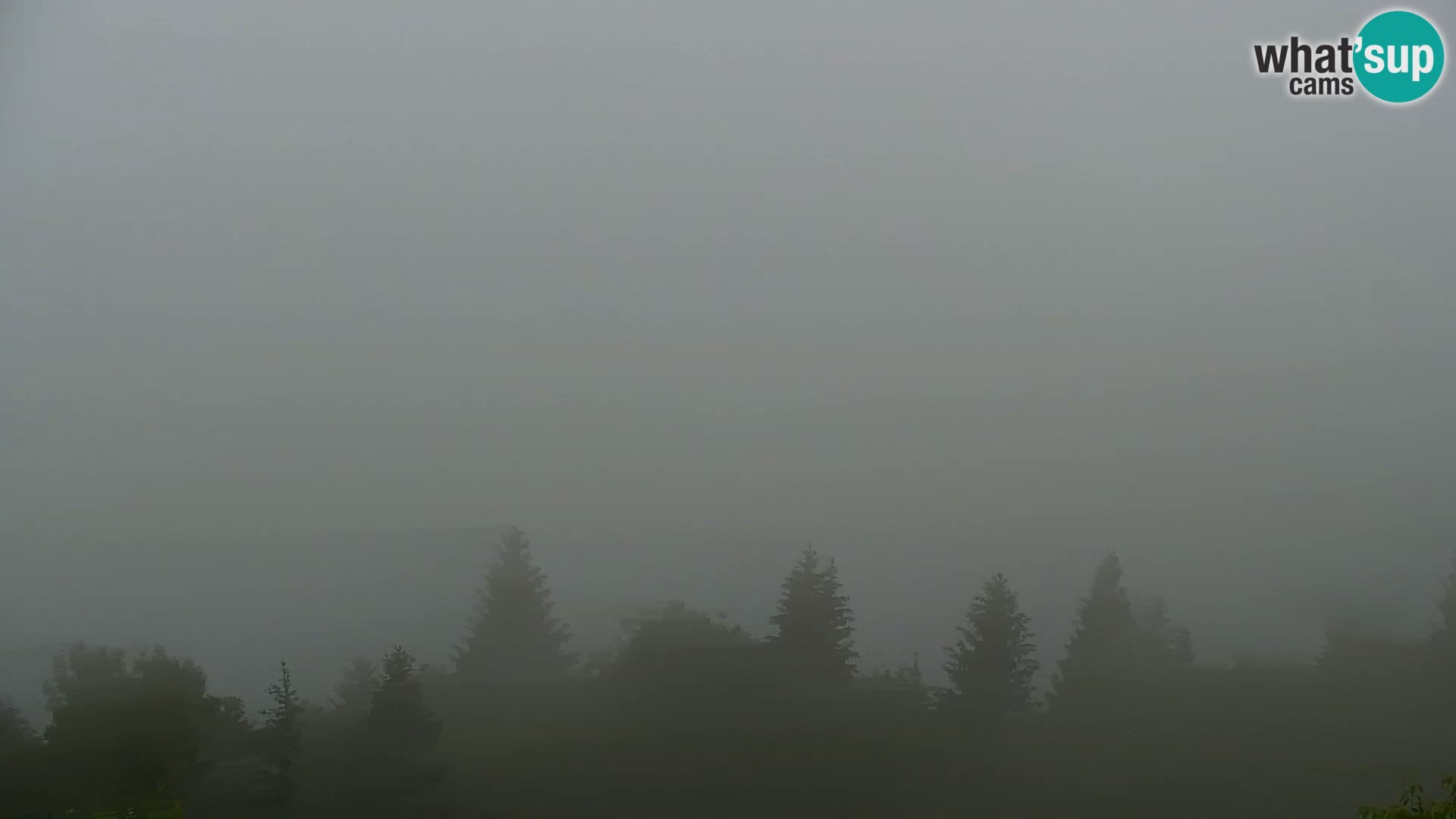 Webcam Kapunar – Radlje ob Dravi
