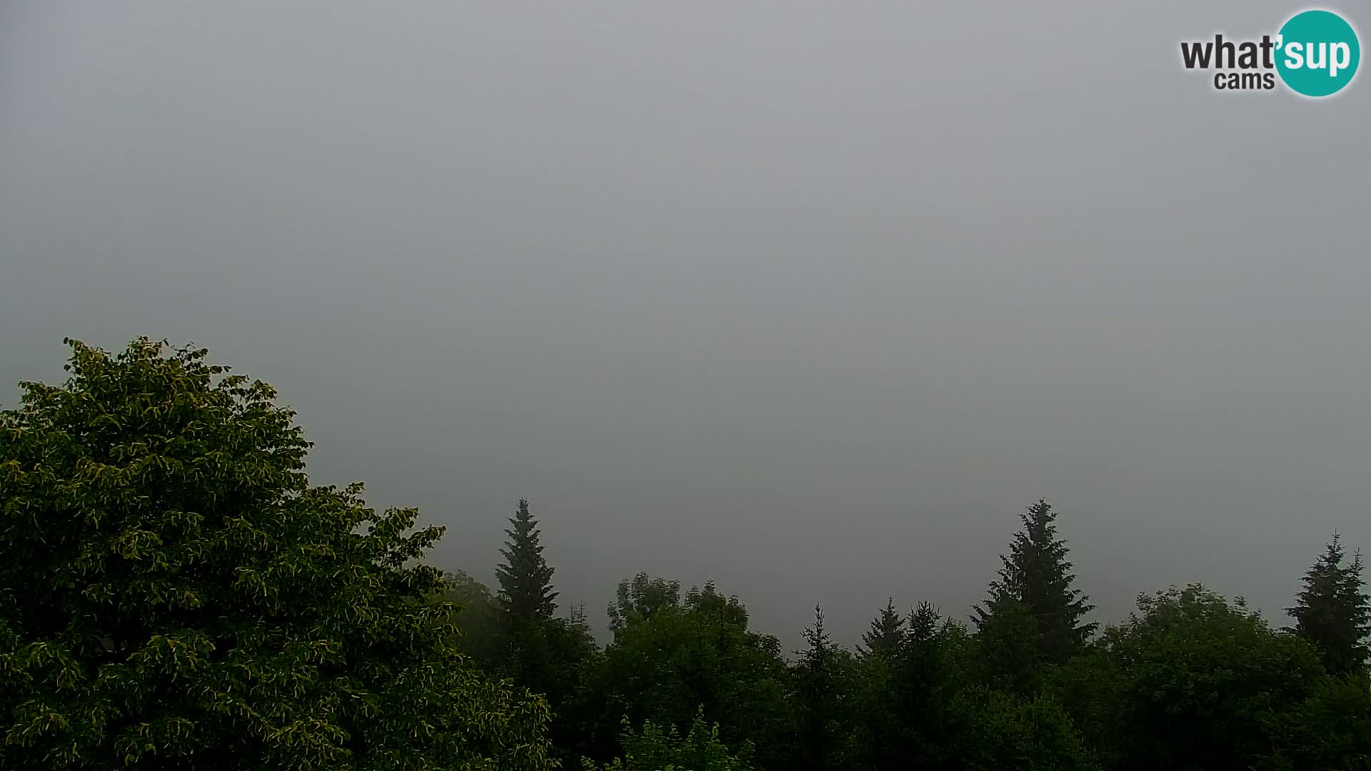 Webcam Kapunar – Radlje ob Dravi