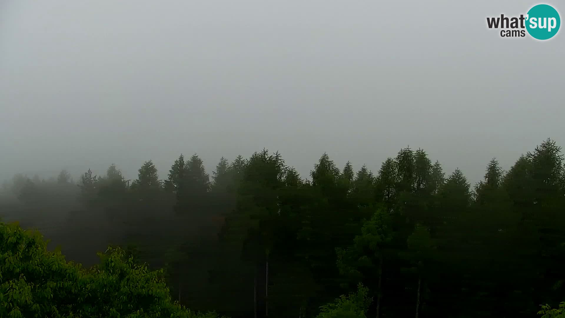 Webcam Kapunar – Radlje ob Dravi