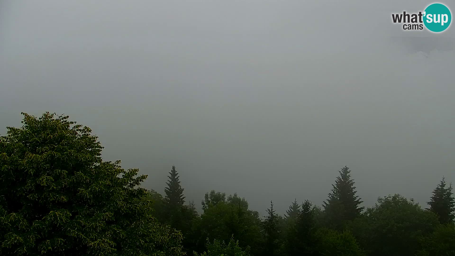 Live cam Kapunar – Radlje ob Dravi