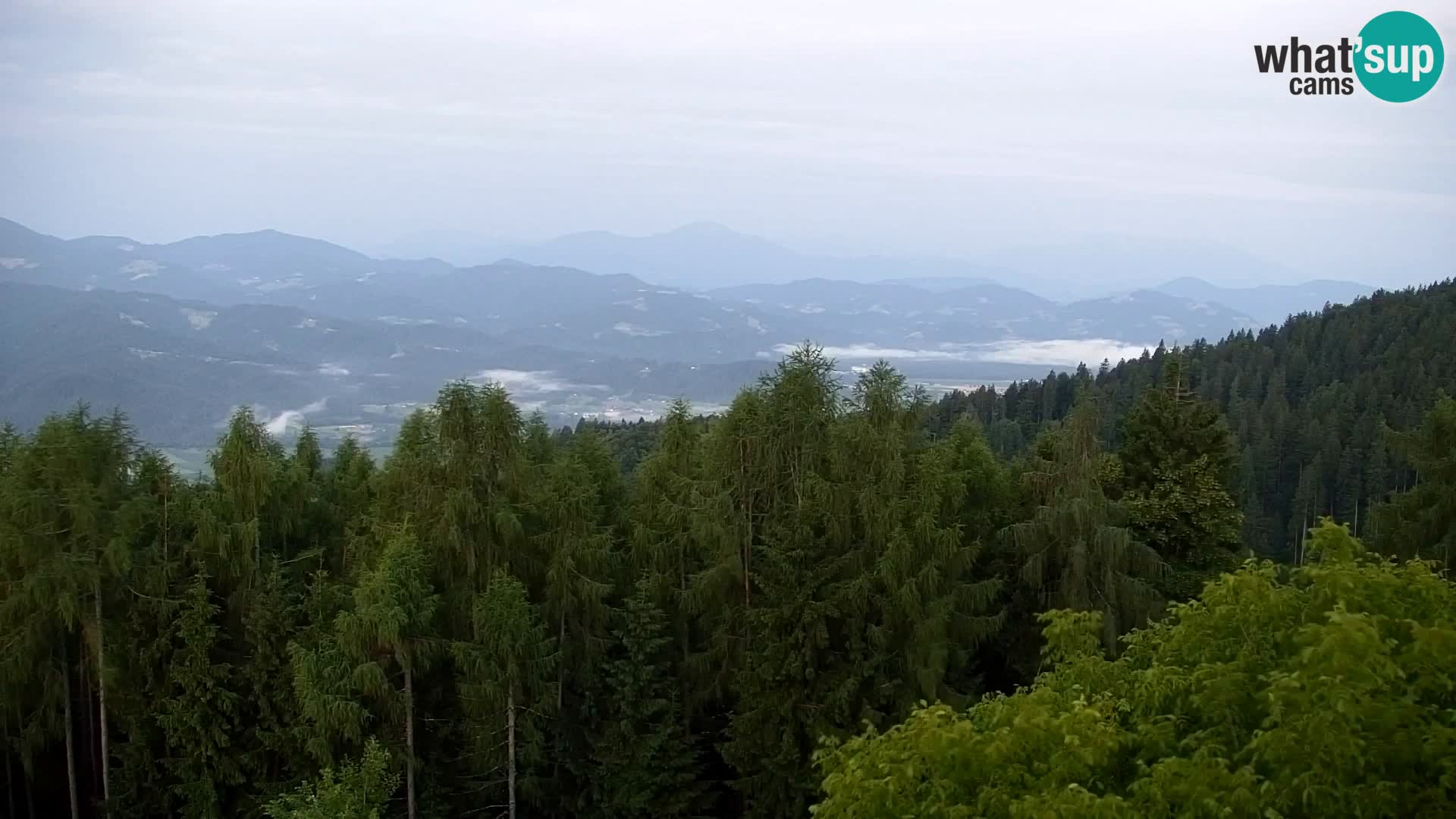 Live cam Kapunar – Radlje ob Dravi