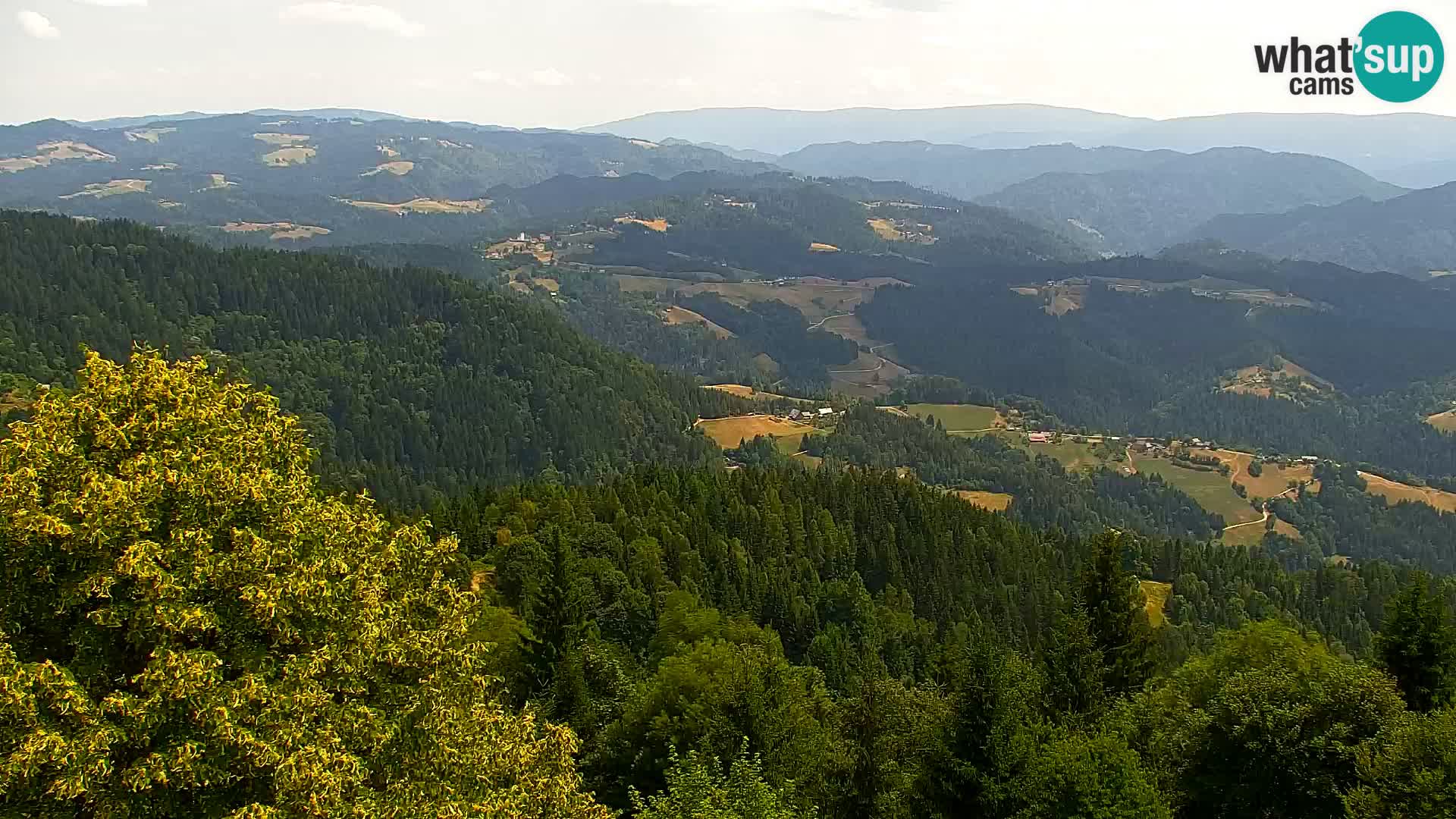 Live cam Kapunar – Radlje ob Dravi