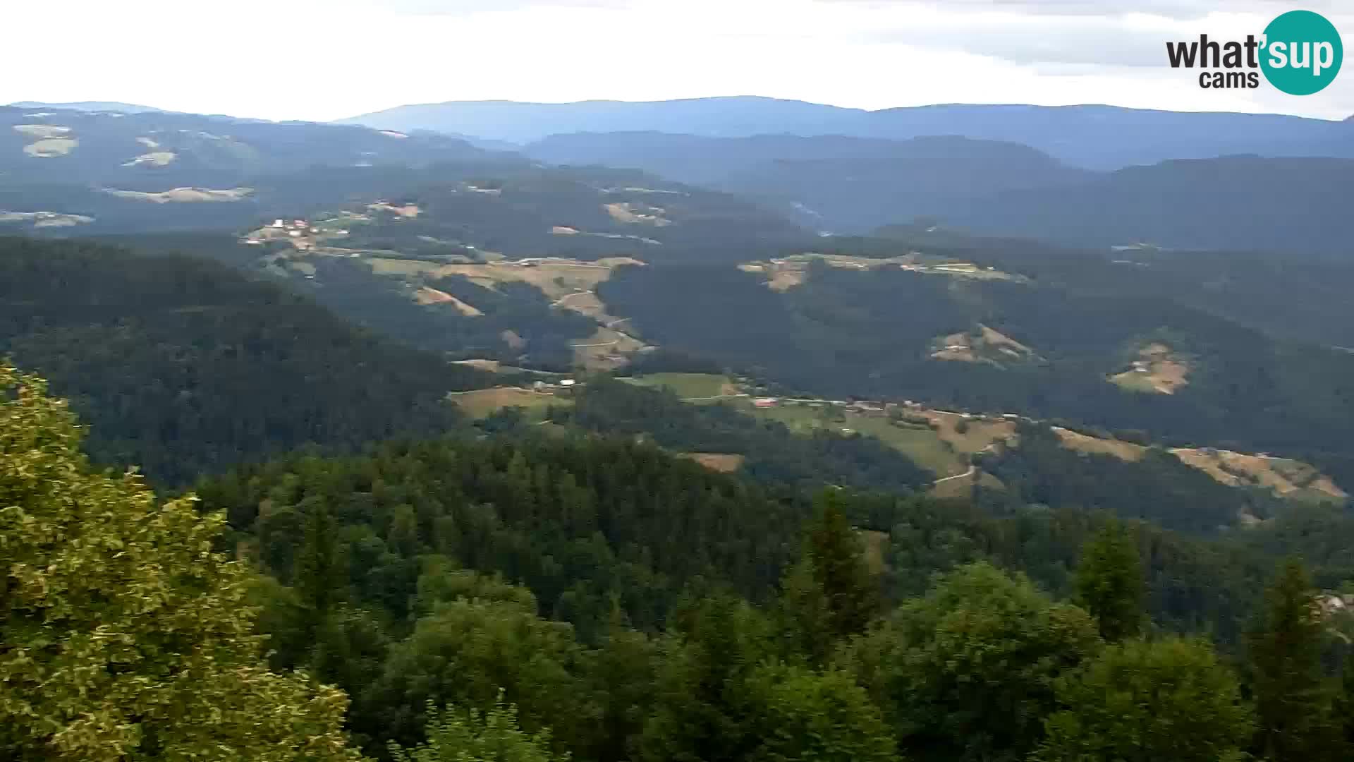 Live cam Kapunar – Radlje ob Dravi