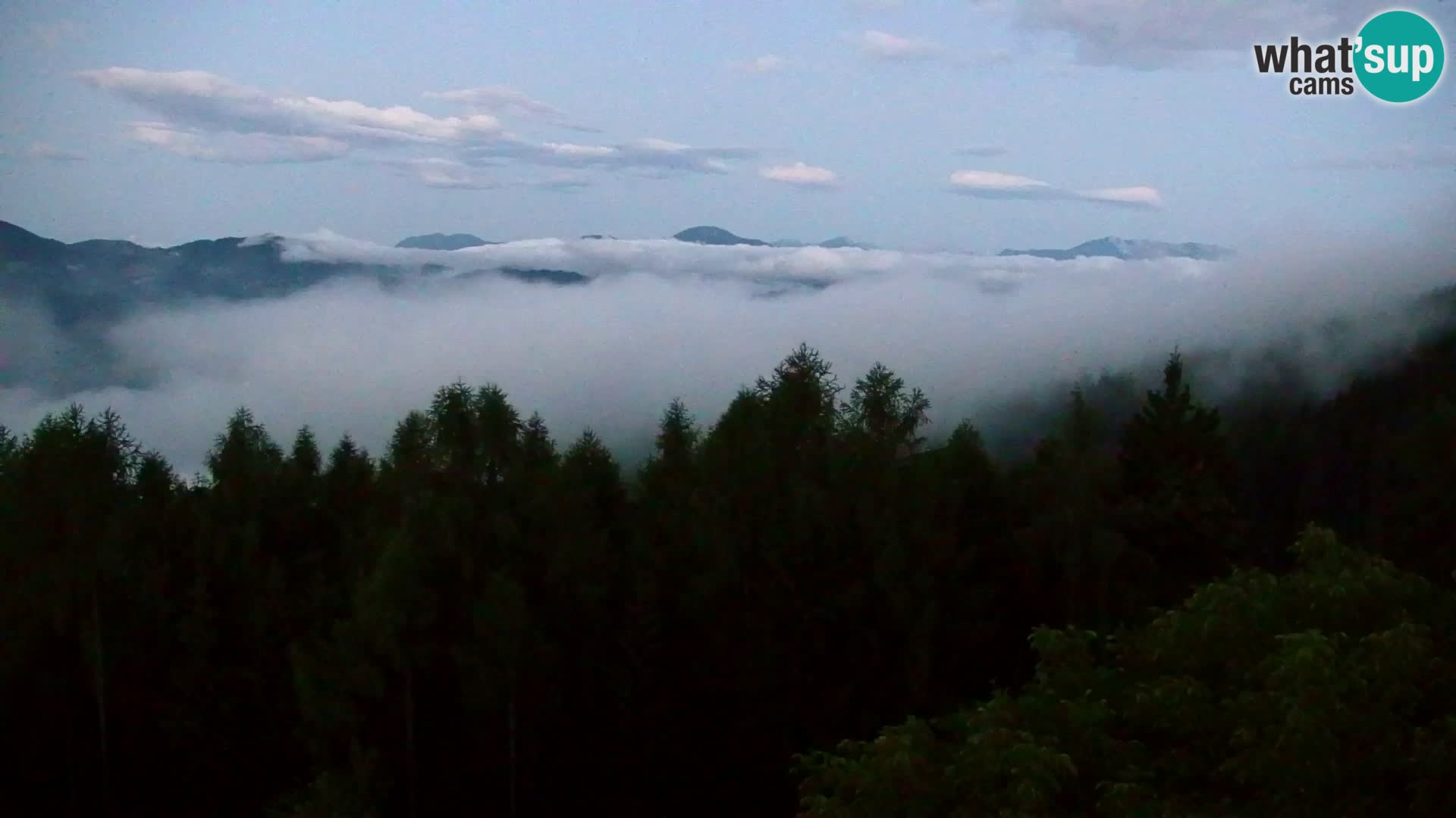 Webcam Kapunar – Radlje ob Dravi