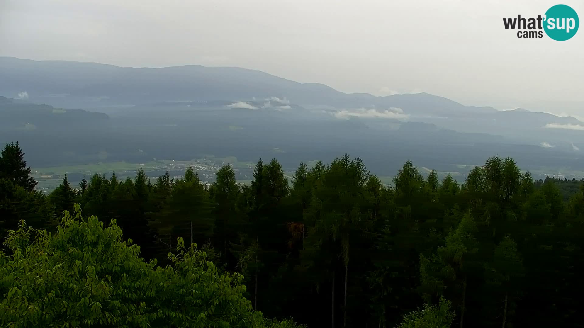 Webcam Kapunar – Radlje ob Dravi