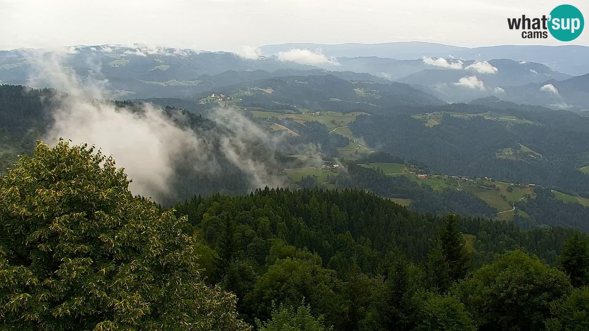 Kapunar Webcam – Radlje ob Dravi