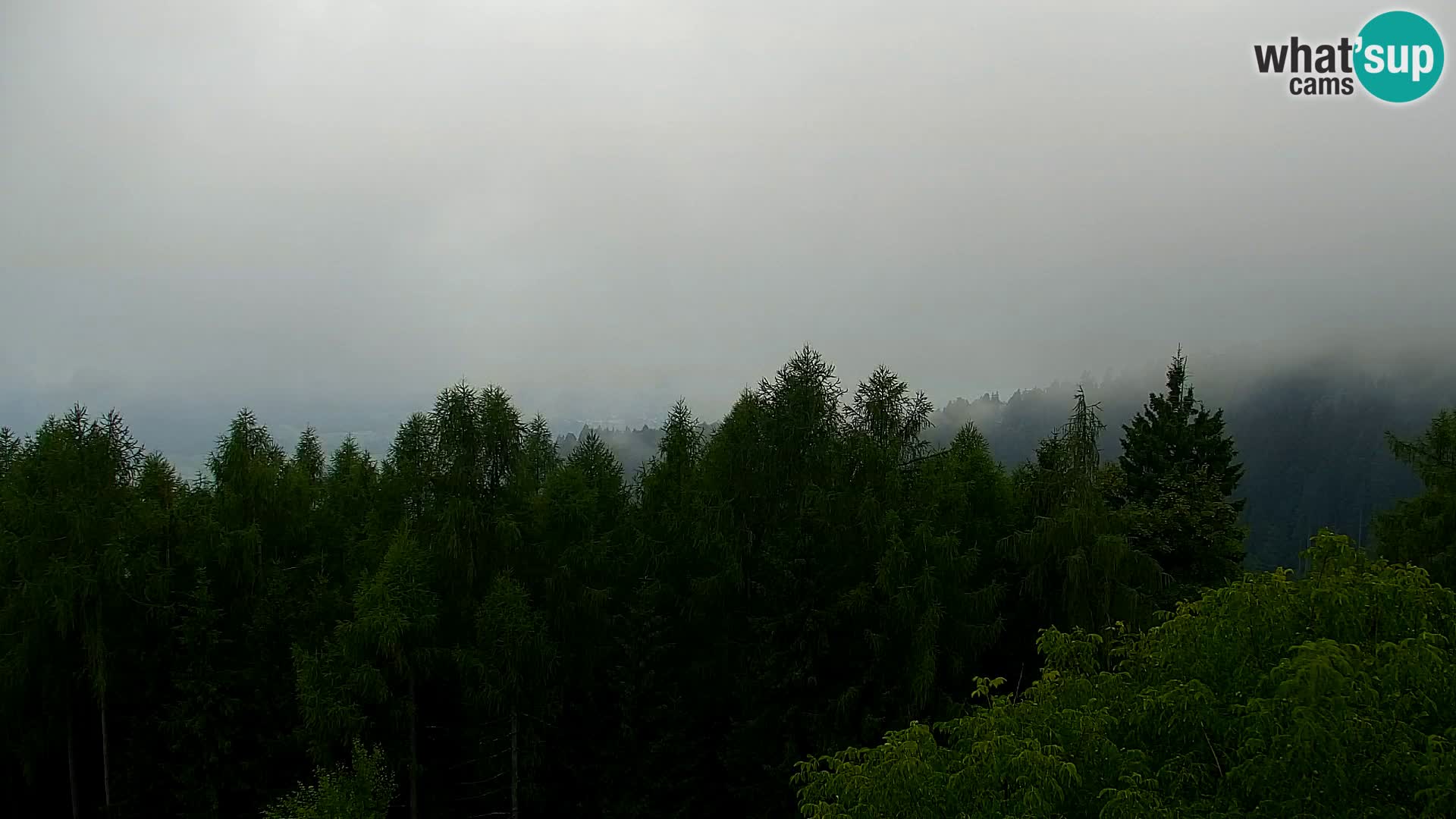 Webcam Kapunar – Radlje ob Dravi