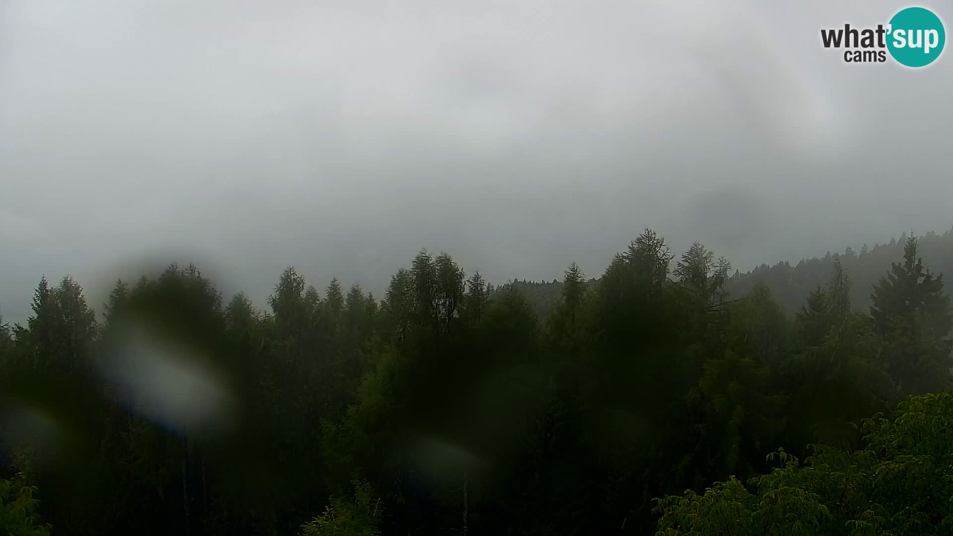 Kapunar Webcam – Radlje ob Dravi
