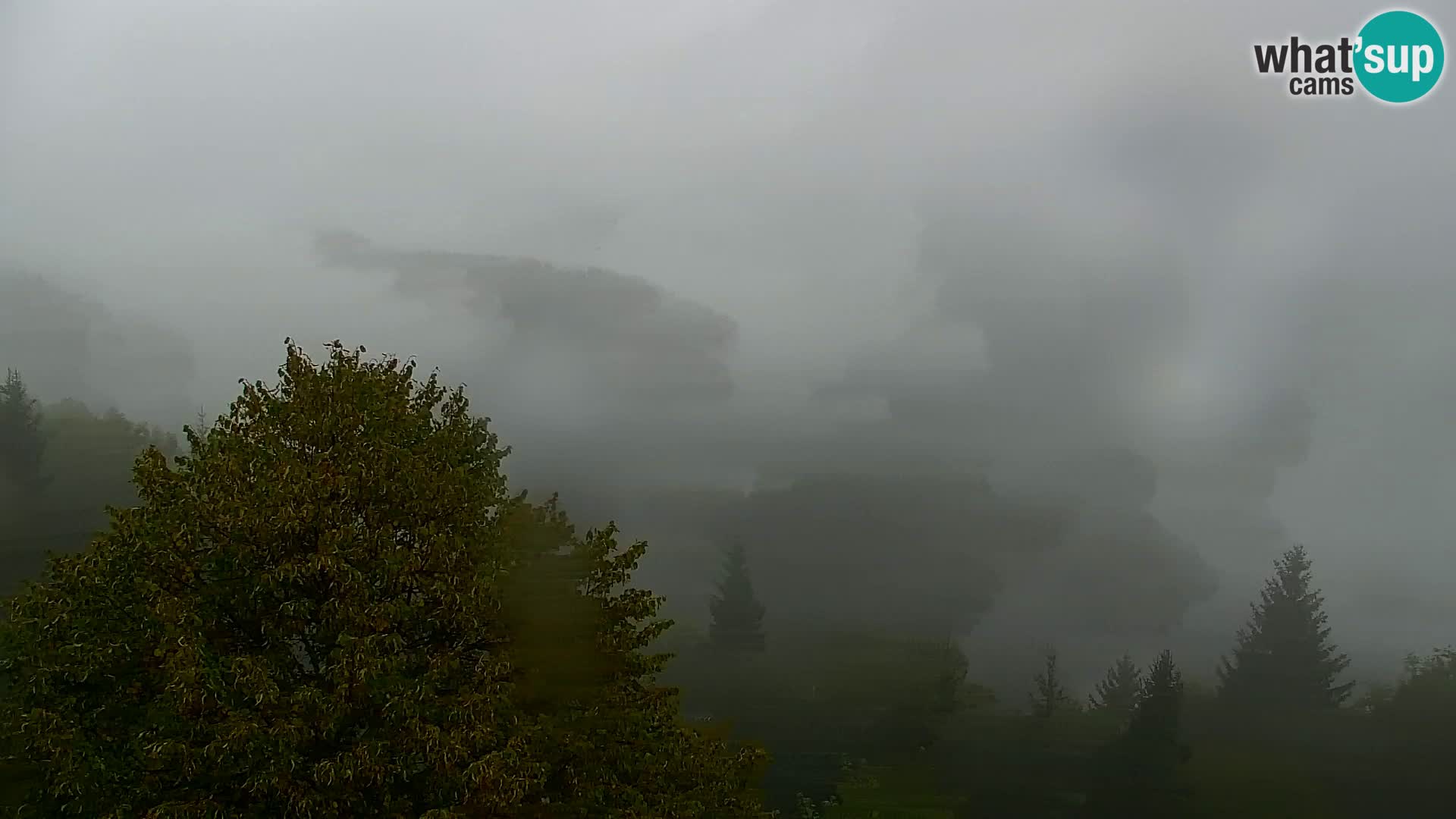 Live cam Kapunar – Radlje ob Dravi