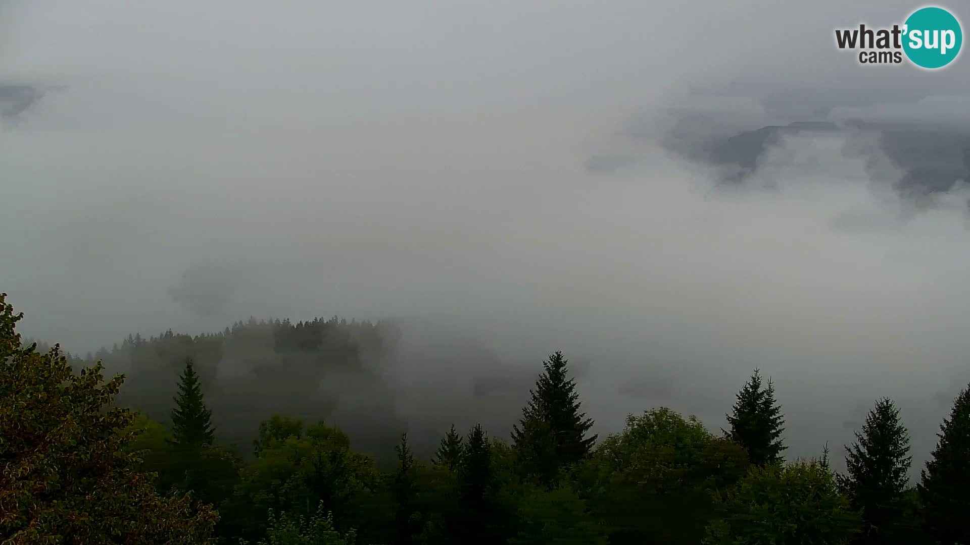 Kapunar Webcam – Radlje ob Dravi