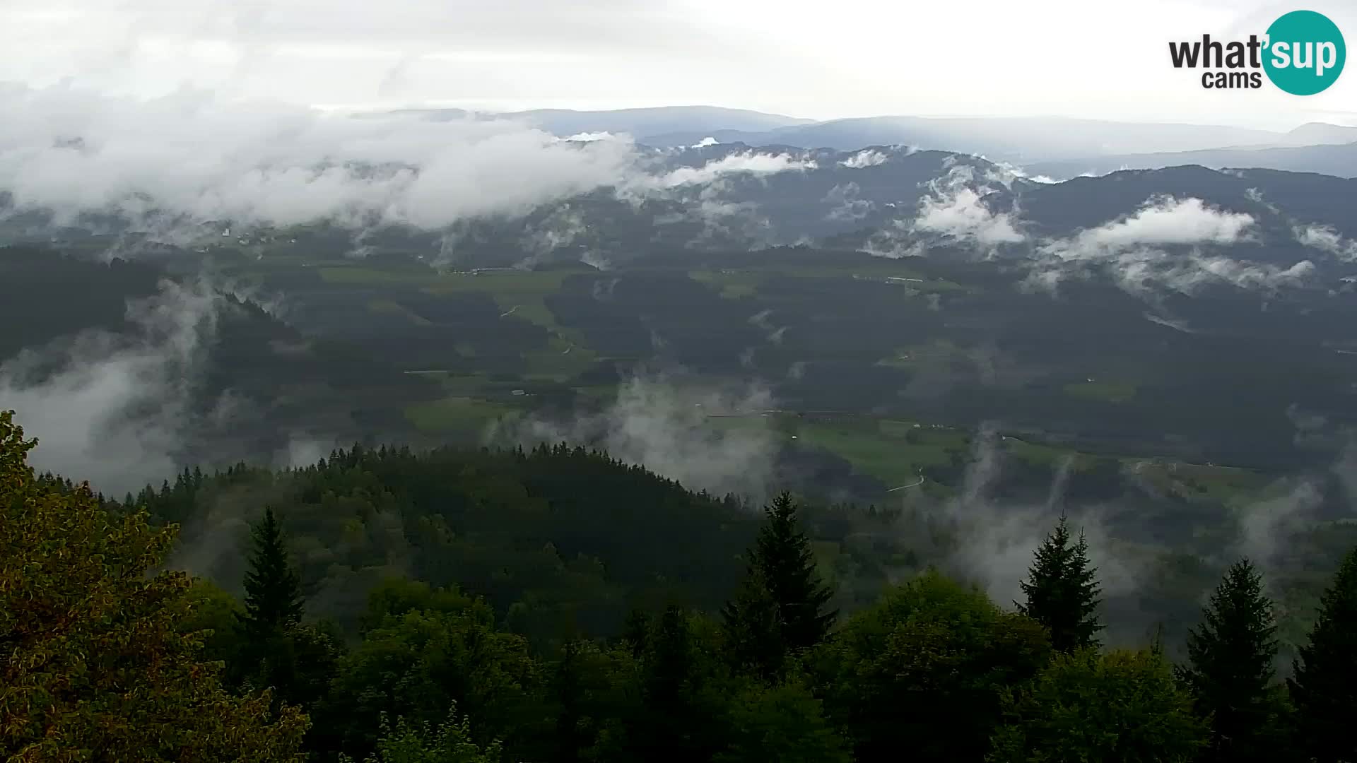 Live cam Kapunar – Radlje ob Dravi