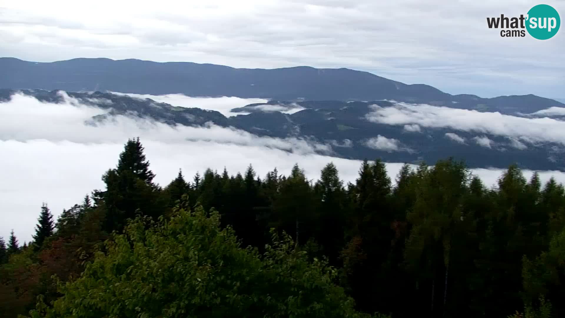 Webcam Kapunar – Radlje ob Dravi