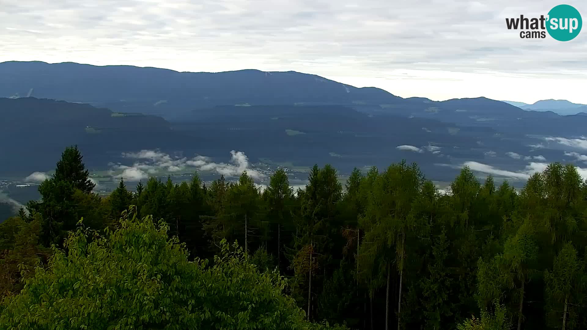 Webcam Kapunar – Radlje ob Dravi