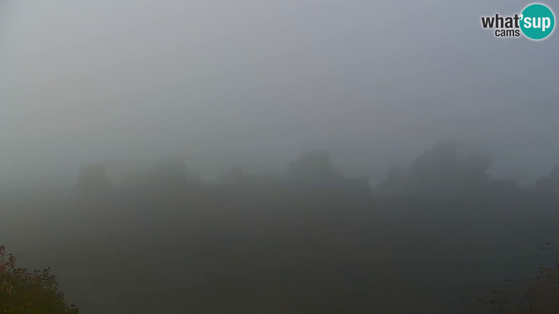 Webcam Kapunar – Radlje ob Dravi