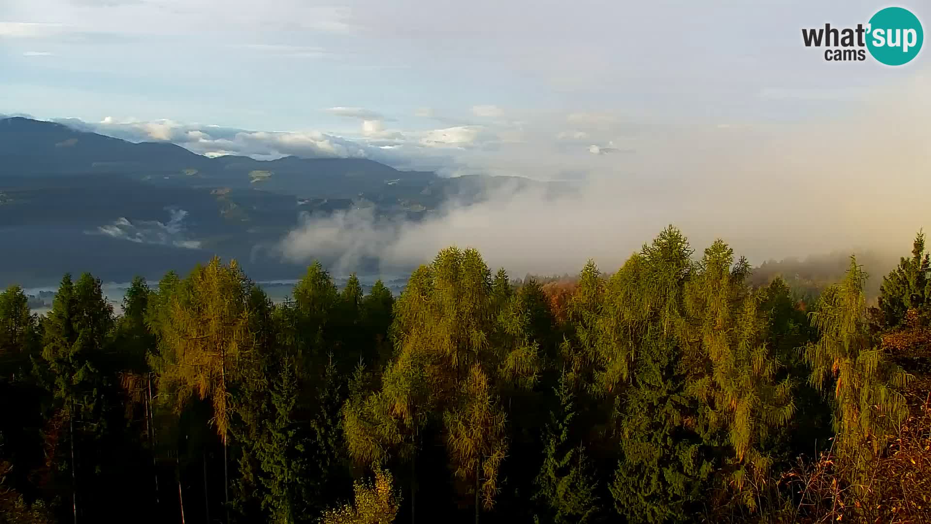 Kapunar Webcam – Radlje ob Dravi