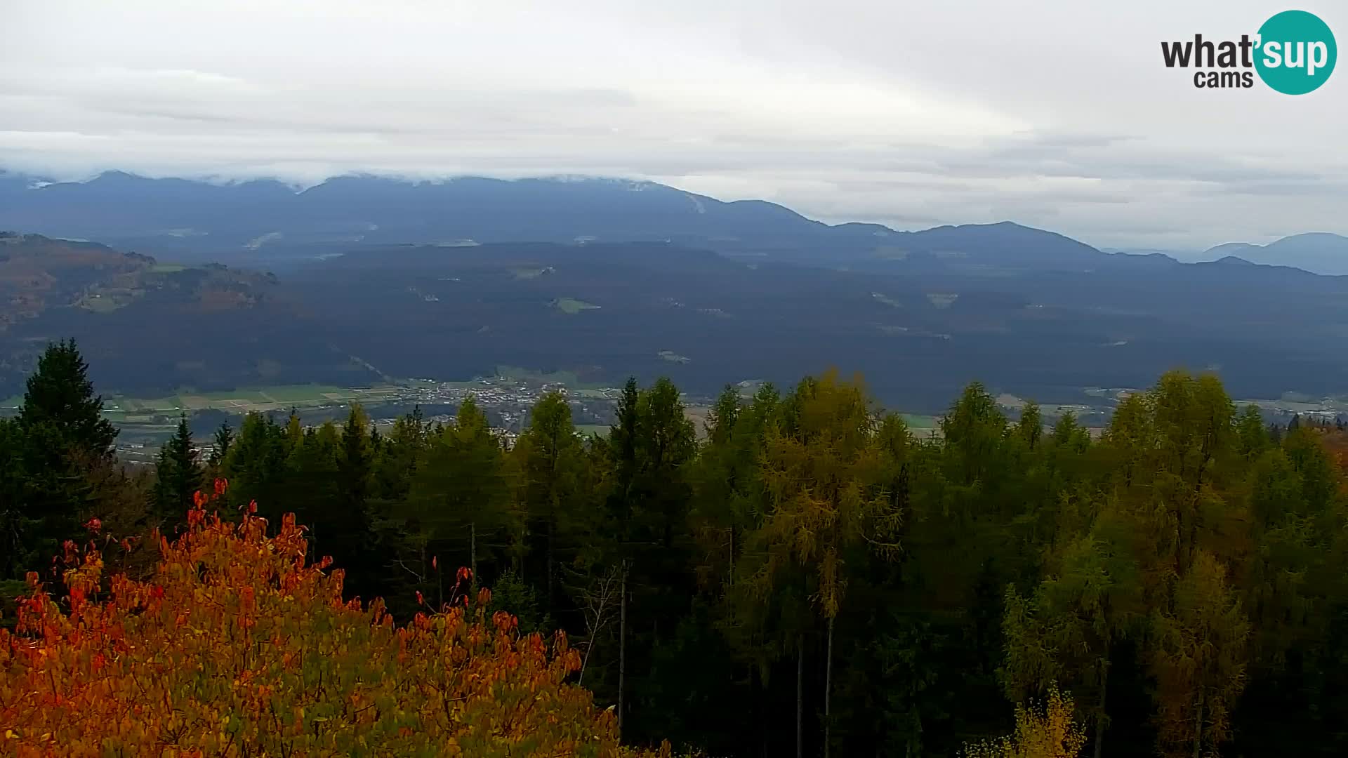 Webcam Kapunar – Radlje ob Dravi