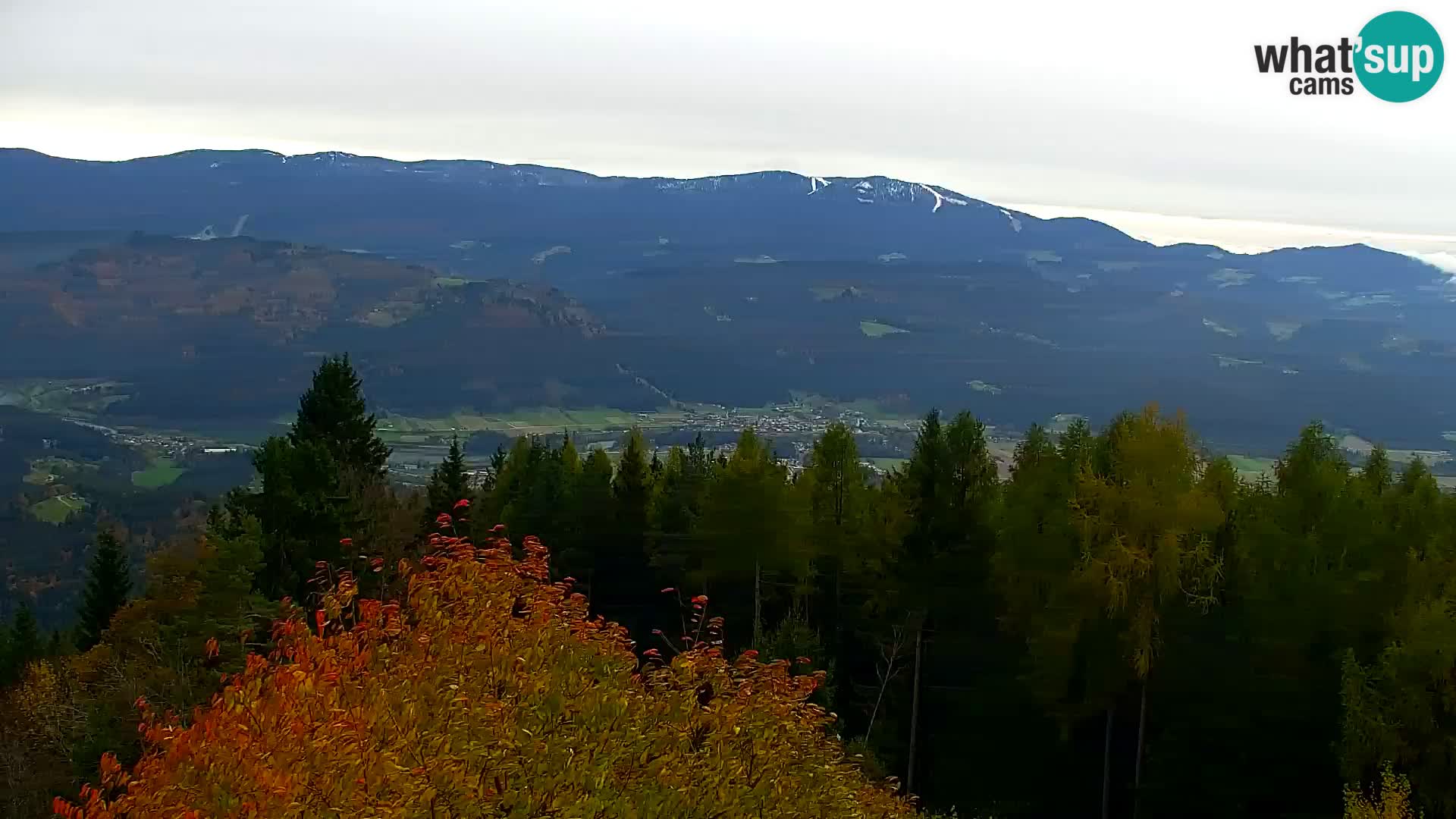 Webcam Kapunar – Radlje ob Dravi