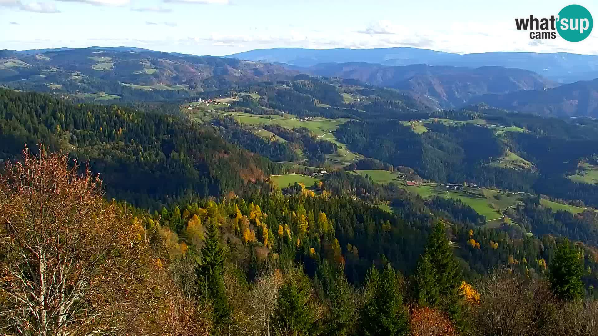 Spletna kamera Kapunar – Radlje ob Dravi