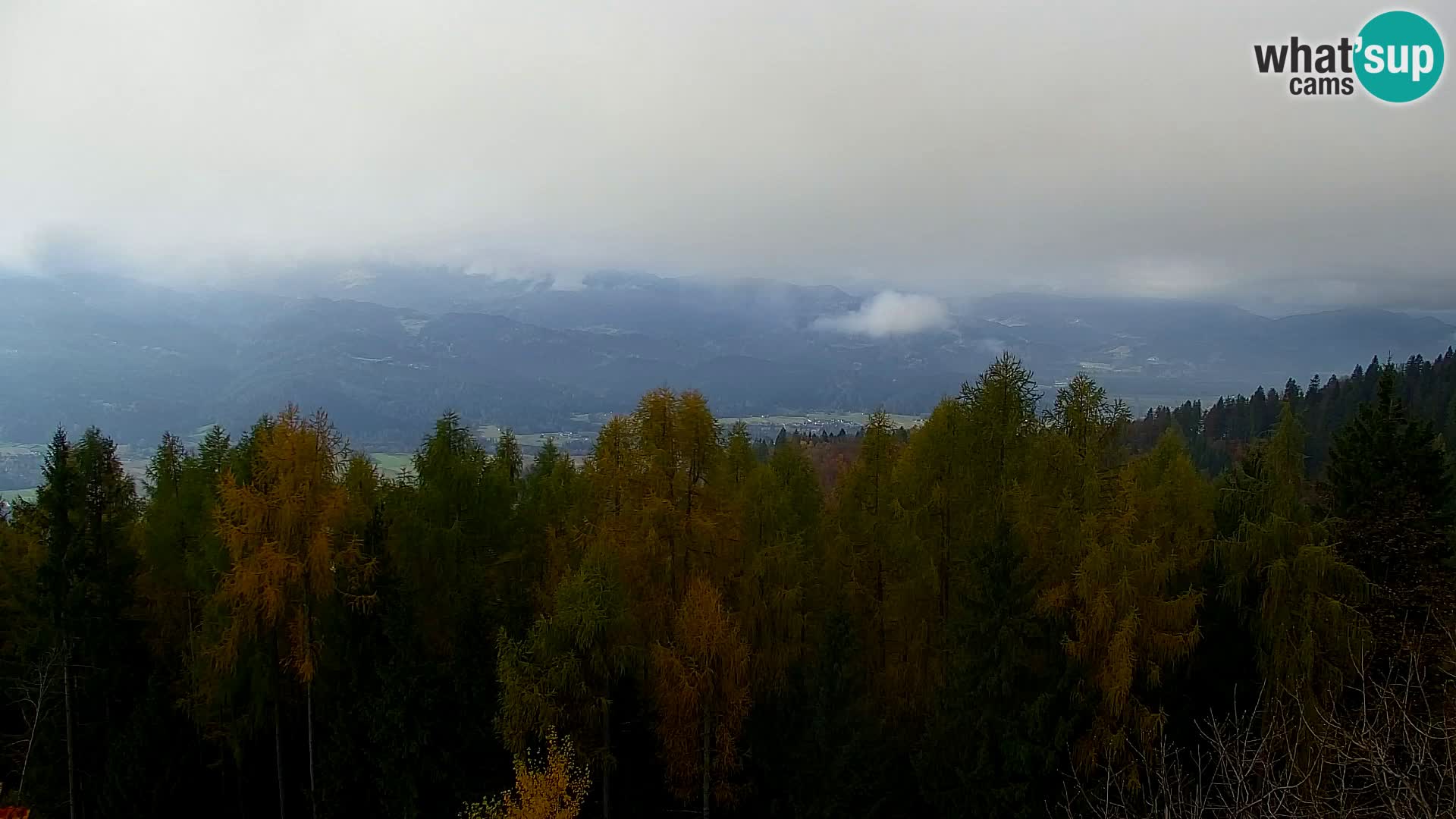 Webcam Kapunar – Radlje ob Dravi