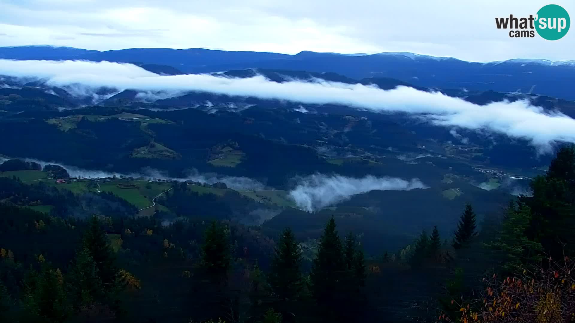 Kapunar Web kamera – Radlje ob Dravi