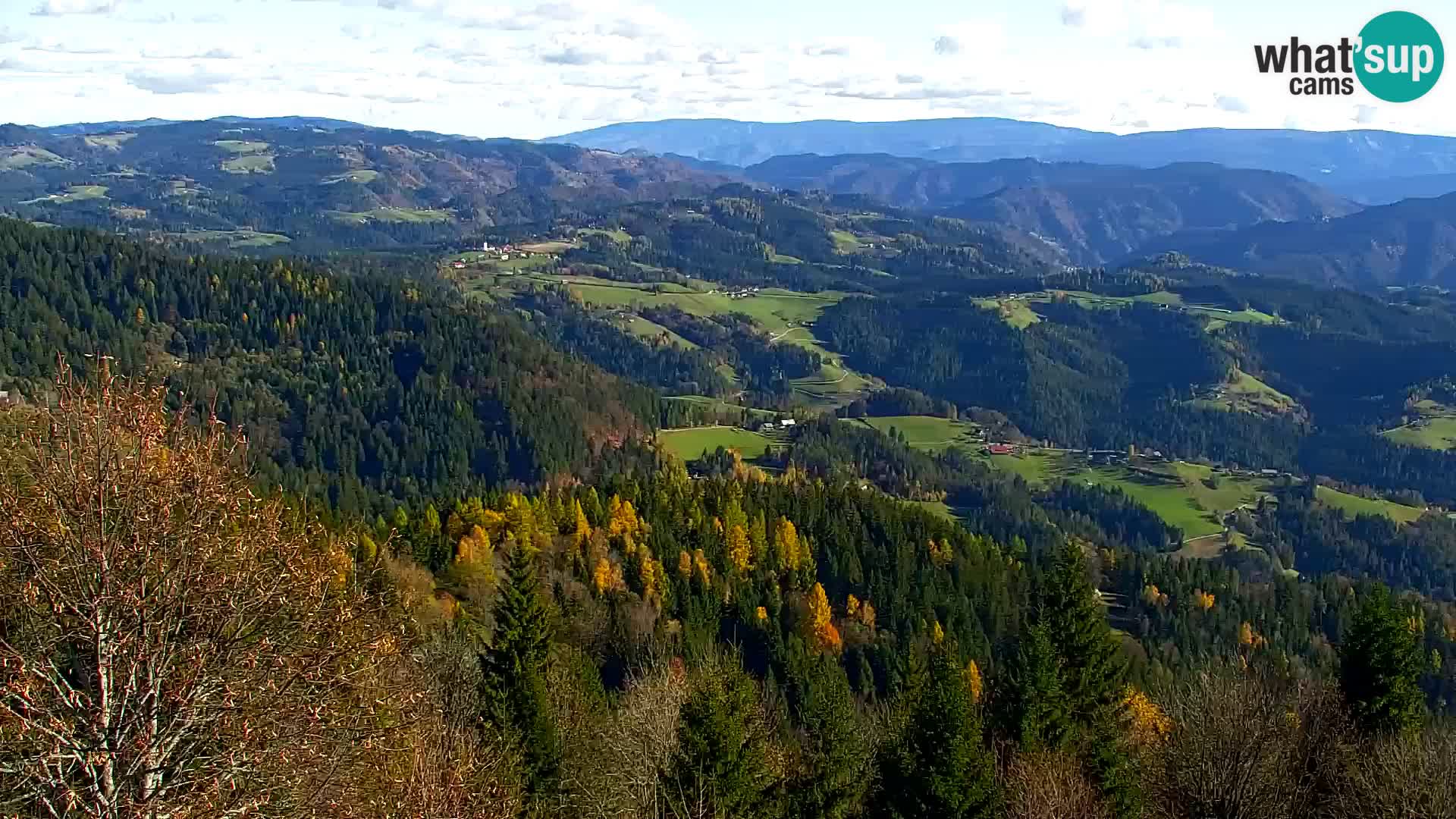 Spletna kamera Kapunar – Radlje ob Dravi