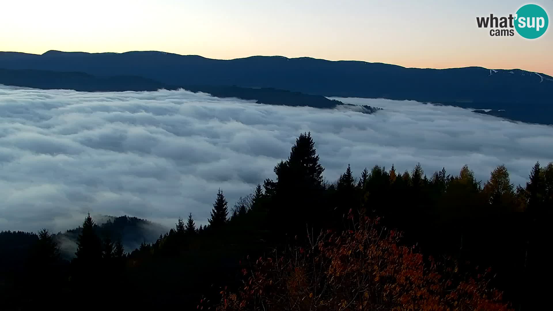 Live cam Kapunar – Radlje ob Dravi